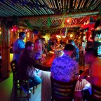 It’s… BAMBOO BEN at TIKI TOM’S! OMG! OMG! OMG!!!