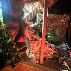 DA TIKI HUT–Could A Tiki Butterfly Be Emerging From Its Cocoon?